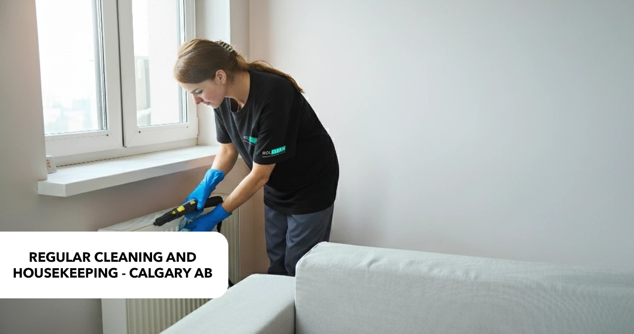 Regular Housekeeping Cleaning Services